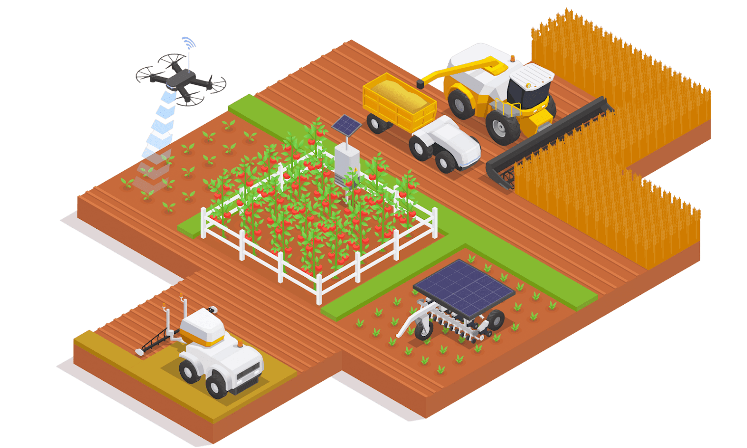 Agriculture Sector